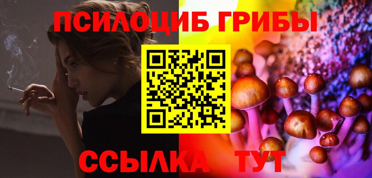 Галлюциногенные грибы GOLDEN TEACHER  Вход с VPN  Королёв 